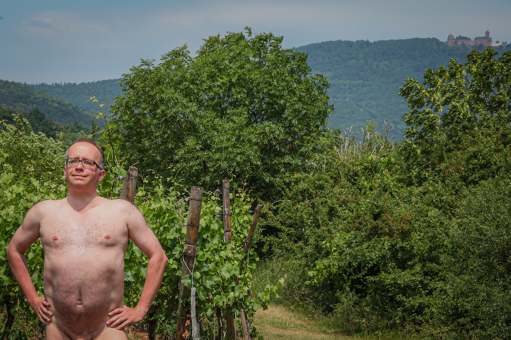 Bare man in a French vineyard